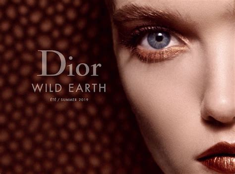 dior wild earth the bay|dior the bay canada.